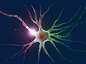 Cerebral neuralgia Cerebral neuralgia